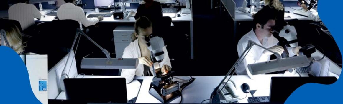 SCREENING & TESTING banner